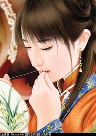 三妻四妾免费观看全集高清动漫